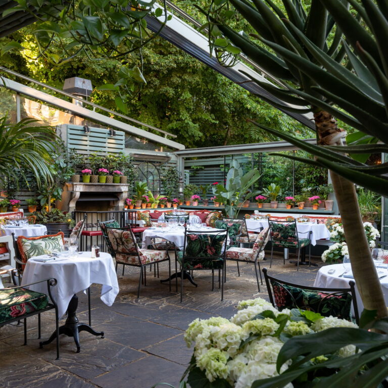 The Ivy 