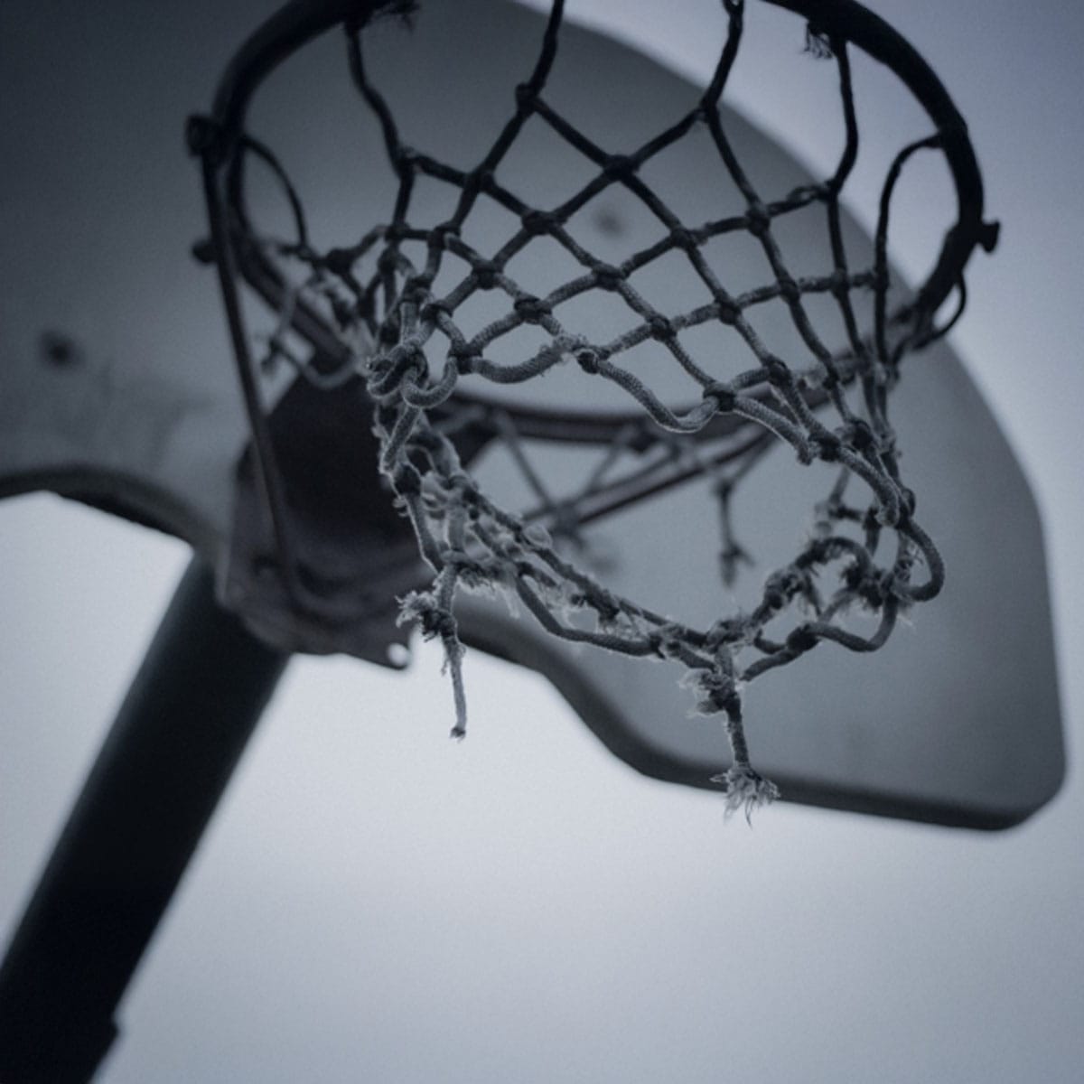 Soho Nights and City Life: Where Basketball Gambling Fits the Scene